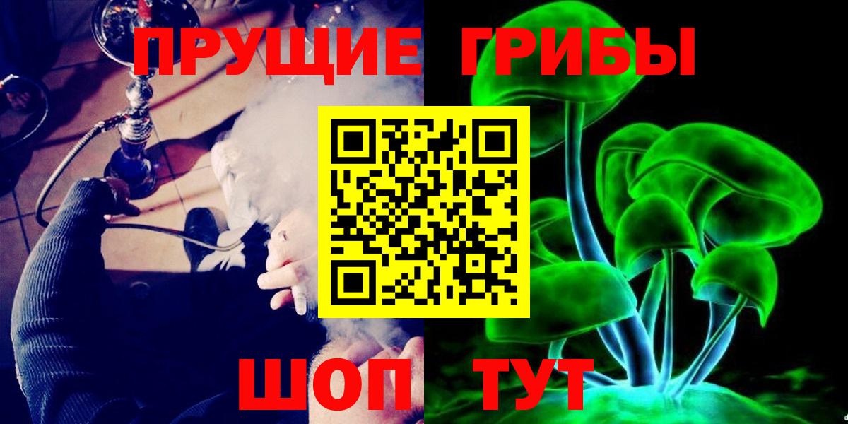 Богородск  закладки  Вход с VPN  Псилоцибиновые грибы мицелий 