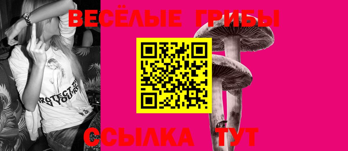 Псилоцибиновые грибы GOLDEN TEACHER Богородск